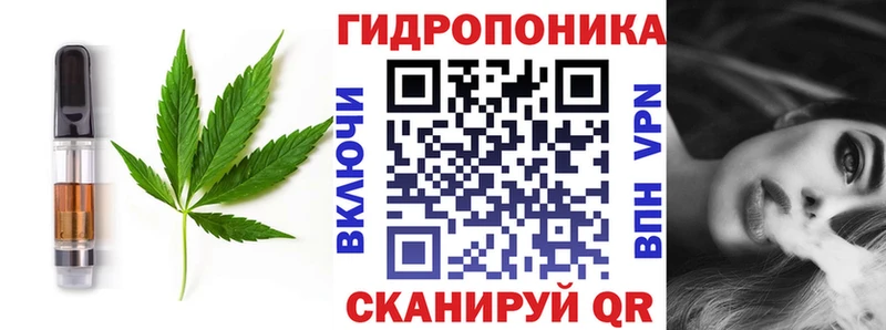 Купить  Электрогорск  Cannafood конопля 
