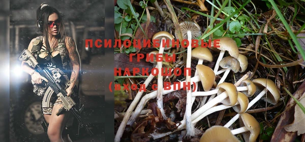 каннабис Корсаков