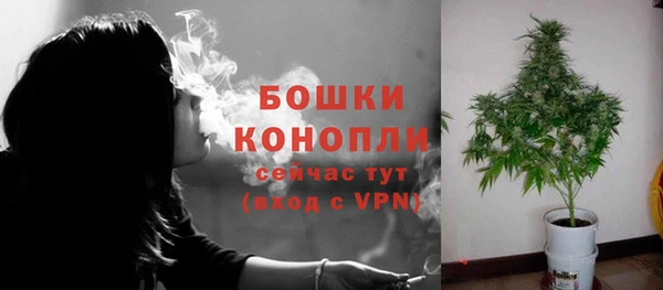 каннабис Корсаков