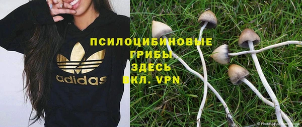 каннабис Корсаков