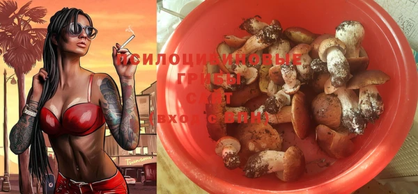 МДПВ Костерёво