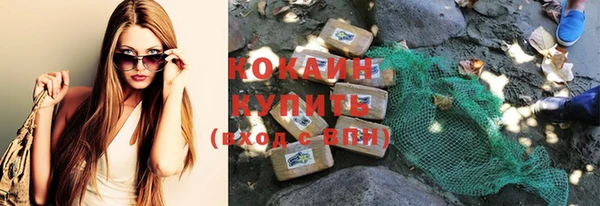 каннабис Корсаков