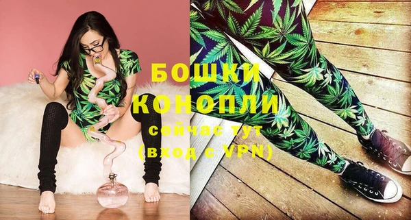 МДПВ Костерёво
