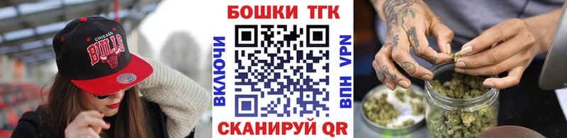Купить закладки  Электрогорск  Шишки марихуана план 
